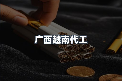 广西越南代工